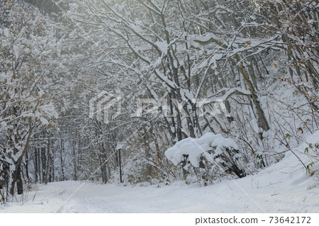 winter park winter park 73642172