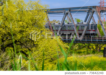 Spring riverbed 73642240