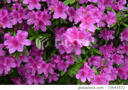 柳中/養瀨通附近 柳中/養瀨通附近 73643572