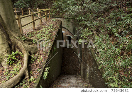 Miyama 3rd Battery Ruins 73643681