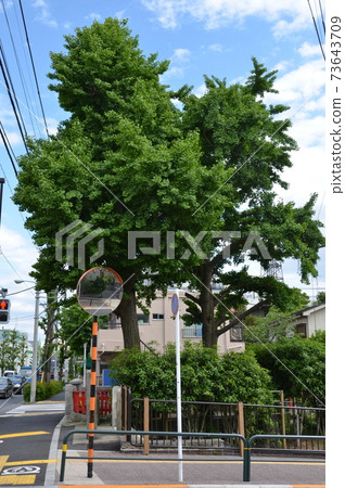 Kitasenju sento Takara-yu Kitasenju sento Takara-yu 73643709