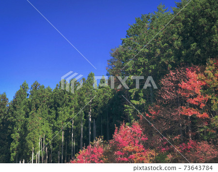 秋天的天空和山 秋天的天空和山 73643784