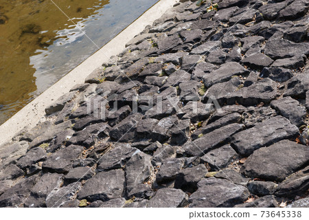 Nagasegawa Yuho Park 73645338