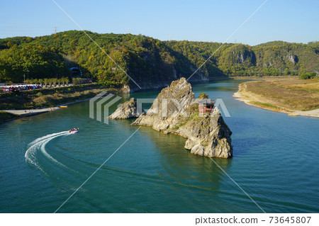 Dodam Sambong 73645807