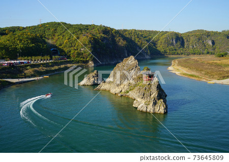 Dodam Sambong Dodam Sambong 73645809