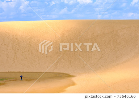 Tottori sand dunes Tottori sand dunes 73646166