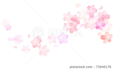 Cherry material-there are multiple variations Cherry material-there are multiple variations 73646176