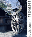 大八車和櫻花 73646865