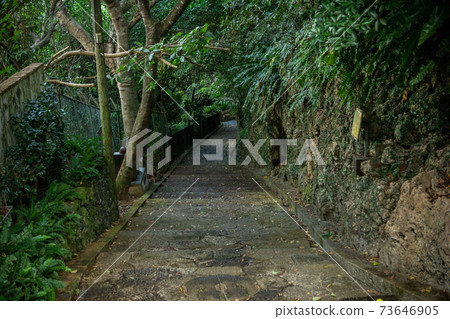 金城町鵝卵石路 73646905