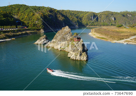 Dodam Sambong Dodam Sambong 73647690