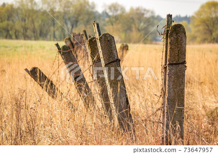 Collapsed old fence and concrete pillars and barbed wire Collapsed old fence and concrete pillars and barbed wire 73647957