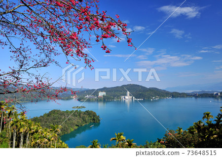Sun Moon Lake, cherry blossoms, lake, scenery 73648515