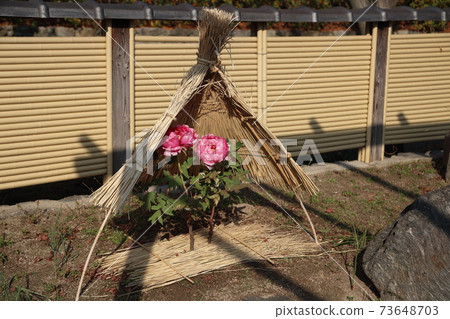 Kashiwazaki Miyaka Garden 73648703