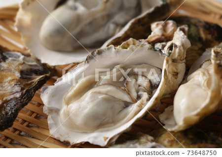 帶有冬季海味的牡蠣 73648750