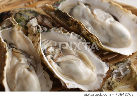 帶有冬季海味的牡蠣 73648762