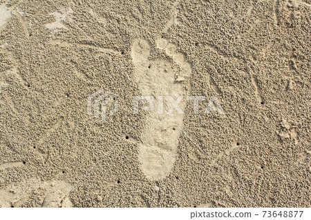 Footprints in the sand Footprints in the sand 73648877