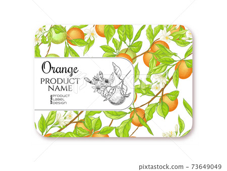 Orange Ripe citrus. Template for product label Orange Ripe citrus. Template for product label 73649049