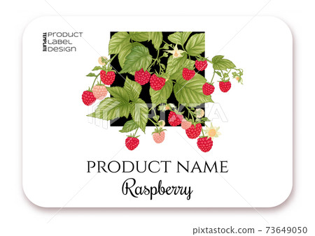 Raspberry. Ripe berries on branch. Template for product label 73649050