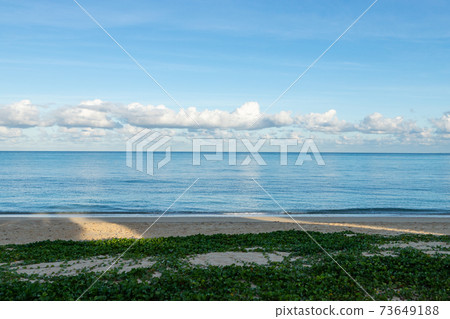 Tomi清晨抵達海灘 Tomi清晨抵達海灘 73649188