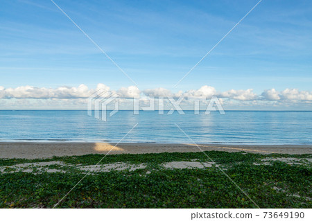 Tomi清晨抵達海灘 Tomi清晨抵達海灘 73649190