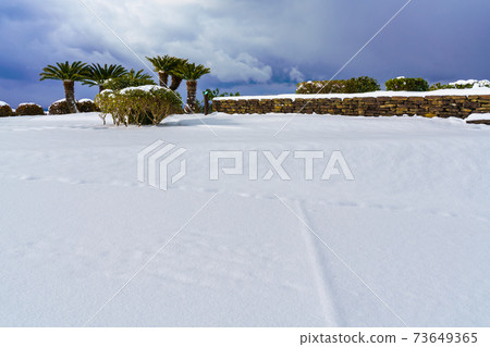 Endo Shusaku Literary Museum Snowscape [Nagasaki City] 73649365