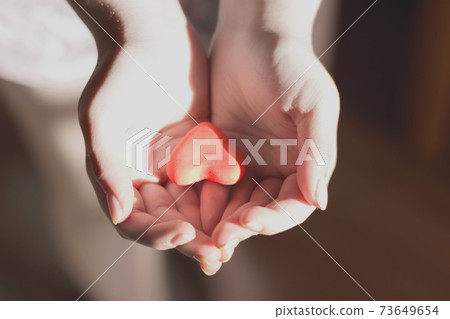 hands holding red heart, health care, love, organ donation, world heart day, world health day, National Organ Donor Day 73649654