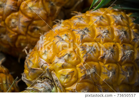 A lot of pineapple fruit background A lot of pineapple fruit background 73650557