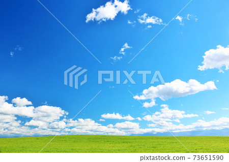 Hokkaido summer blue sky and grassland 73651590
