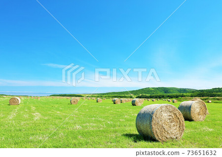 Hokkaido summer blue sky and pasture roll Hokkaido summer blue sky and pasture roll 73651632