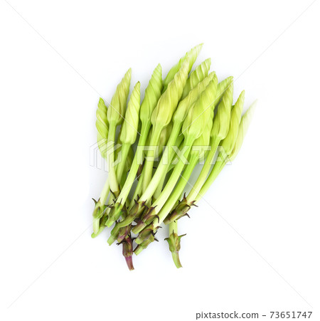 Moonflower (Ipomoea alba L.) isolate on white background, For cooking Moonflower (Ipomoea alba L.) isolate on white background, For cooking 73651747