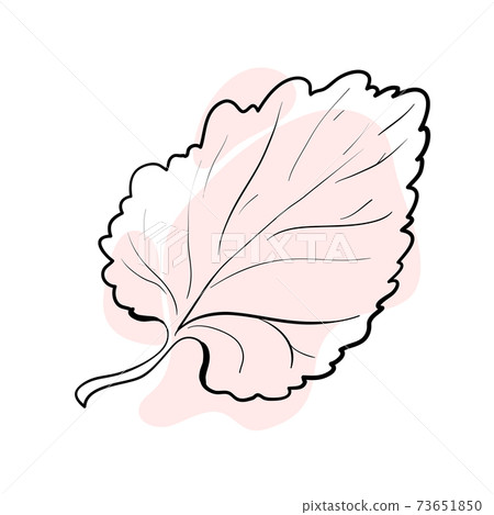 Stylish and beautiful line art. Tree leaf, nature and ecology. Stylish and beautiful line art. Tree leaf, nature and ecology. 73651850