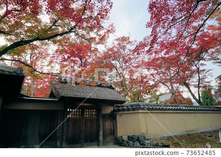 Beautiful autumn leaves _ Hogon-in Beautiful autumn leaves _ Hogon-in 73652485