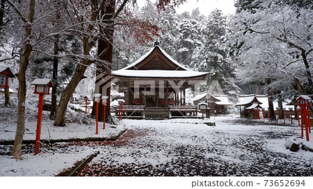 Snow Day Yoshi Taisha Shrine Usa Shrine and Autumn Leaves Snow Day Yoshi Taisha Shrine Usa Shrine and Autumn Leaves 73652694