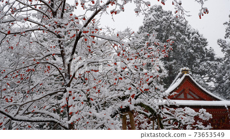 雪日吉大神社西本宮龍和堵嘴 73653549