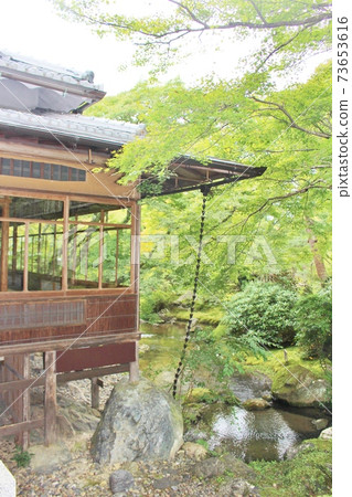 Hogon-in Blue Autumn Leaves Lion Garden 73653616