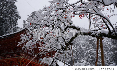 雪日吉大神社西本宮龍和堵嘴 73653683