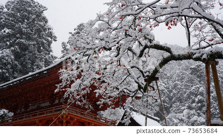 Snow Hiyoshi Grand Shrine Nishimotomiyaromon and Gagged 73653684