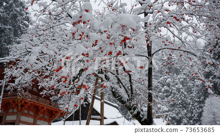 雪日吉大神社西本宮龍和堵嘴 73653685