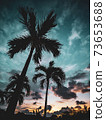 八重山棕櫚聳立在日出的天空 73653688