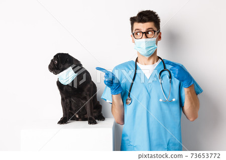 Cute black pug dog in face mask looking left at promo banner while doctor in veterinarian clinic pointing finger, standing over white background Cute black pug dog in face mask looking left at promo banner while doctor in veterinarian clinic pointing finger, standing over white background 73653772