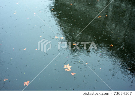 Closeup of rain dops falling on the river 73654167