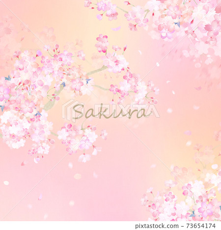 Cherry blossom material-There are many variations such as no letters Cherry blossom material-There are many variations such as no letters 73654174