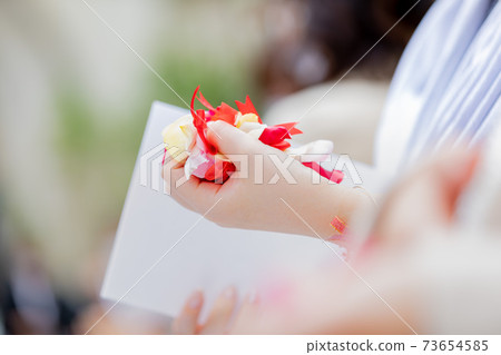 Wedding ceremony petal Wedding ceremony petal 73654585