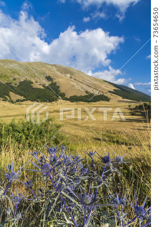 National Park of Abruzzo near Barrea, Lazio and Molis, Italy National Park of Abruzzo near Barrea, Lazio and Molis, Italy 73654650