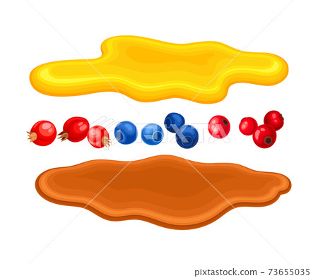 Berries and Sugary Syrup as Breakfast Ingredients Vector Illustration Berries and Sugary Syrup as Breakfast Ingredients Vector Illustration 73655035