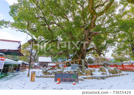 Snow Umi Hachimangu Shrine, Umi Town, Kasuya District, Fukuoka Prefecture 73655429