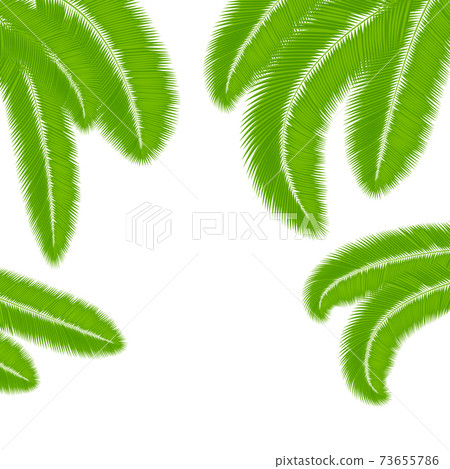 Green palm leaves silhouettes isolated on white background. 73655786