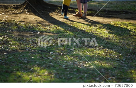 Evening park 73657800