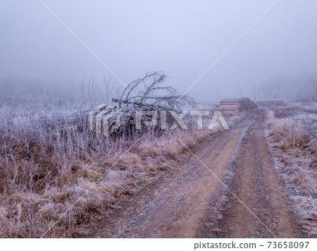 Piled logs of harvested wood in winter landscape 73658097