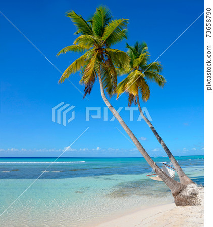 Hammock on a palm tree on the beach 73658790